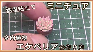 樹脂粘土で、ミニチュア・多肉植物、エケベリアの作り方【粘土】【DIY】【ミニチュア】