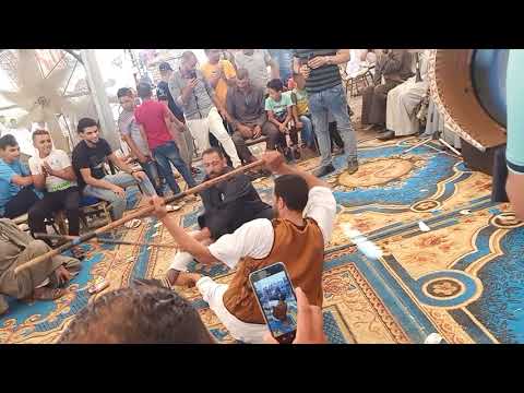 توت توت توت توت شد حيلك يا كتكوت