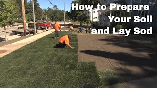 Milorganite should be mixed into the top 2-4 inches of soil before
laying sod to help establish and feed roots. after new sod, water
enough pen...