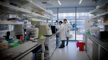 Working Together to Drive Breakthroughs