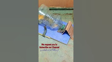 Mouse Trap, Slow Motion 🐁