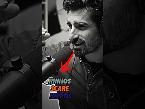 They Came For Grass They Left With Scars