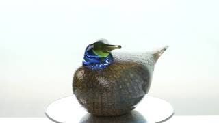 OIVA TOIKKA Brid Dotterel
