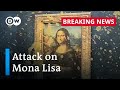 Activists deface Leonardo Da Vinci&#39;s Mona Lisa in Paris | DW News