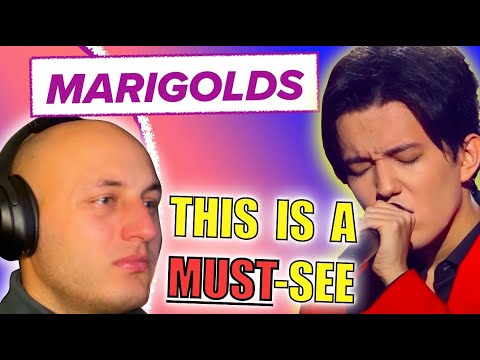 DIMASH - MARIGOLDS