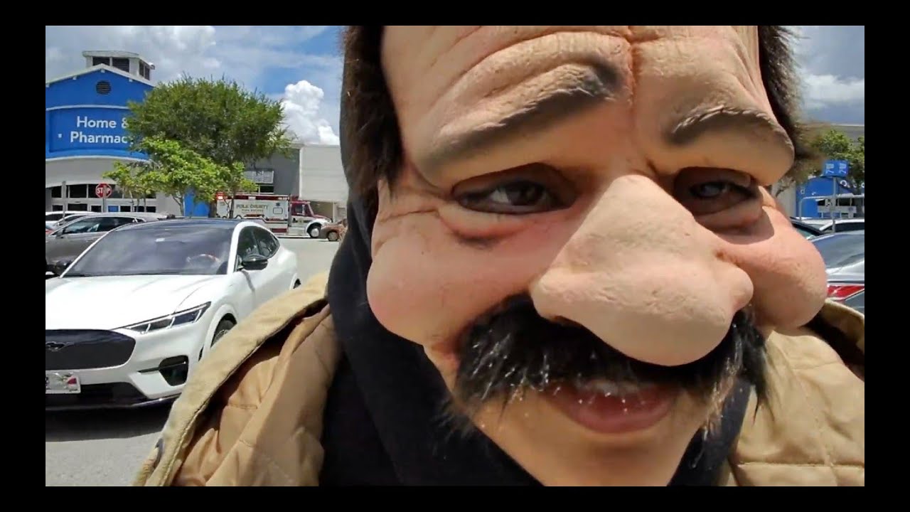 TROLI BEAR - Late July (Official Music Video)