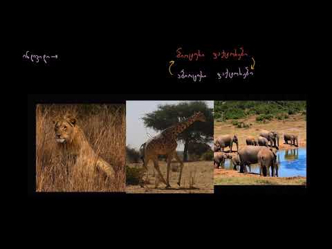 ეკოლოგიის შესავალი