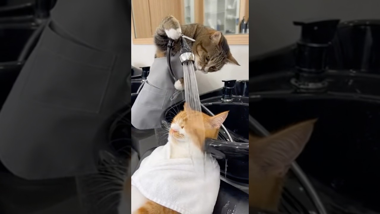 💦 That was too much. 