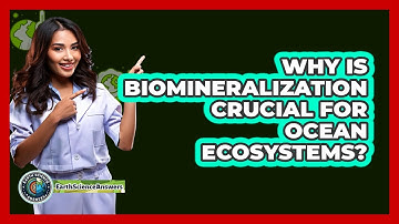 Why Is Biomineralization Crucial For Ocean Ecosystems?