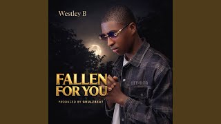 Information Fallen for You Update