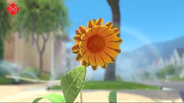 [MEF] Động lực sống từ hoa hướng dương - Bạn có niềm tin, động lực không