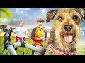 RoboDog : le chien surnaturel - Film COMPLET en Français (Famille)