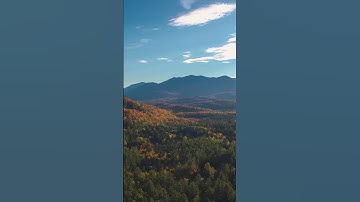 سورة الأحزاب - آية (56) - تلاوة يوسف العيدروس - { إن الله وملائكته يصلّون على النبي }