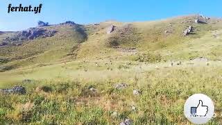 Berbang - Ay Delal - Doğanın Güzelliği Temiz hava - ferhat.yf