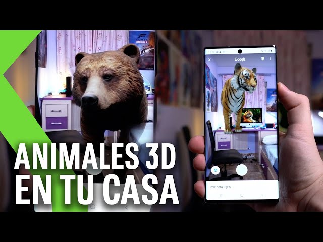 Animales 3D de Google: un tigre, un oso o una jirafa , un zoo en en