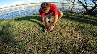 How to tie up a Mudcrab