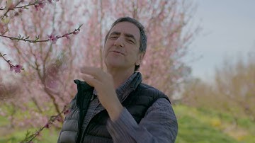 Bayer Crop Science | About Our Biologicals Research