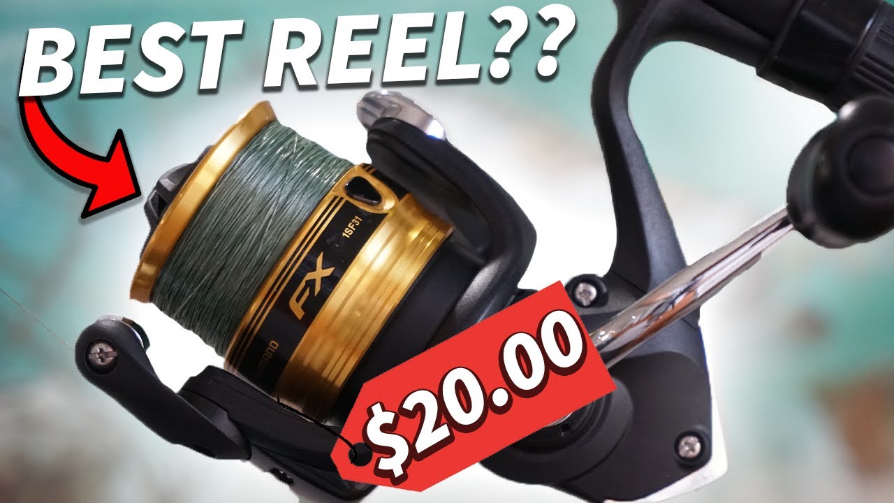 Shimano FX 2500HG Review  Best Cheap Spinning Reel Under $25! 