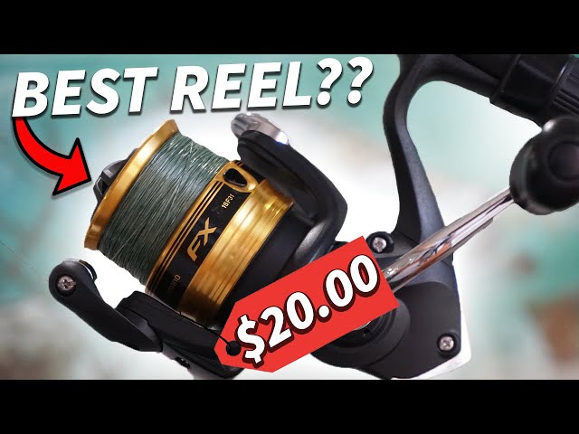 Shimano FX 2500HG Review  Best Cheap Spinning Reel Under