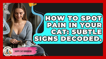 How To Spot Pain In Your Cat: Subtle Signs Decoded. - Happy Cat Handbook