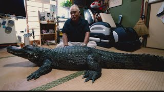 Meet Japans Mr. Gator And His Pet Alligator