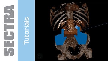 Tutorial Sectra IDS7 Touch - Touch gestures in 3D images