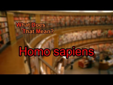 What does Homo sapiens mean?