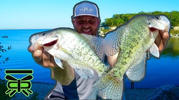 HOW to FIND CRAPPIE on ANY LAKE ‼ | #BARFLY