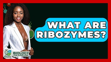 What Are Ribozymes? - Biology For Everyone