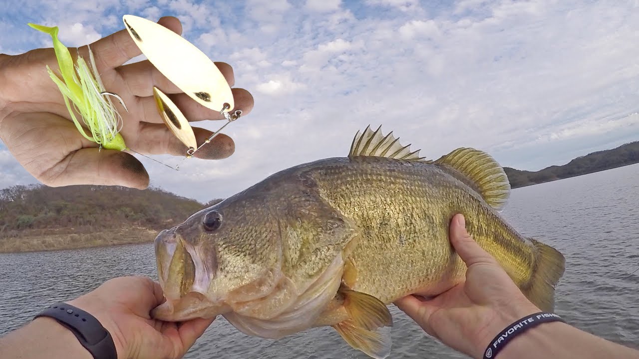 Slow Fishing Big Spinnerbaits for GIANT Winter Bass 