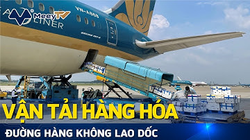 VẬN TẢI HÀNG HÓA ĐƯỜNG HÀNG KHÔNG LAO DỐC