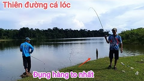Câu cá lóc_Hành trình săn hàng Hugo (p40)@Hữunghị tv