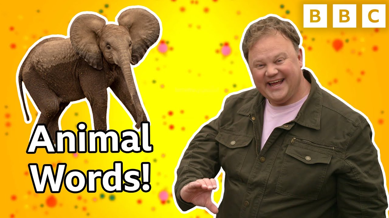 Learn to Makaton Sign Animal Words  Something Special  CBeebies