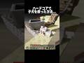 ハードコアで子犬を救った方法... #shorts #マインクラフト#マイクラ