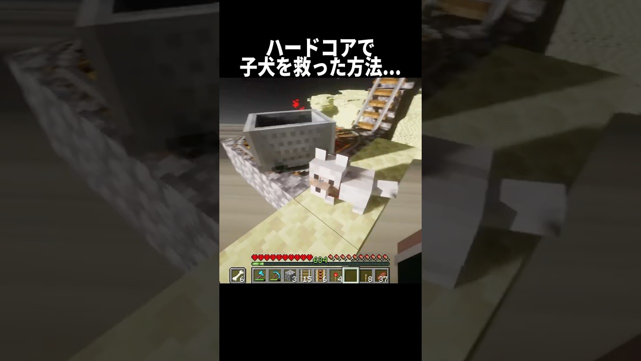 ハードコアで子犬を救った方法... #shorts #マインクラフト#マイクラ