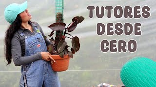 Por Fin Los Tutores Para Mis Plantas En El Invernadero Nuevo Candy Bu