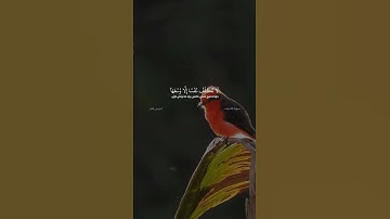 سورة الأعراف آية ٤٢ ادریس ابکر
