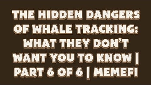 The Hidden Dangers of Whale Tracking: What They Don’t Want You to Know | Part 6 of 6 | MemeFi