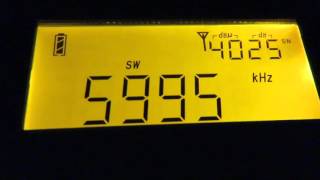 5995 kHz RTV du Mali with audio screenshot 1