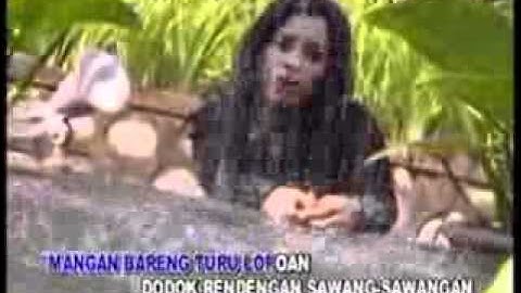 hujan gerimis