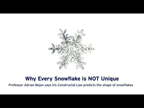 Why Every Snowflake is NOT Unique, According to Duke University Professor Adrian Bejan