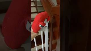 Alphabet Lore (A - Z..) Experiment 802#alphabet #alphabetlore #shorts #trending#abc #lol #plushtoys