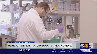 Using anti-inflammatory drug to treat COVID-19