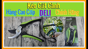 Kéo Cắt Tỉa Cành Cây DELI DL2789! Hàng Chất Như Nước Cất