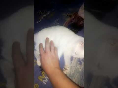 Укачала.Все ж таки