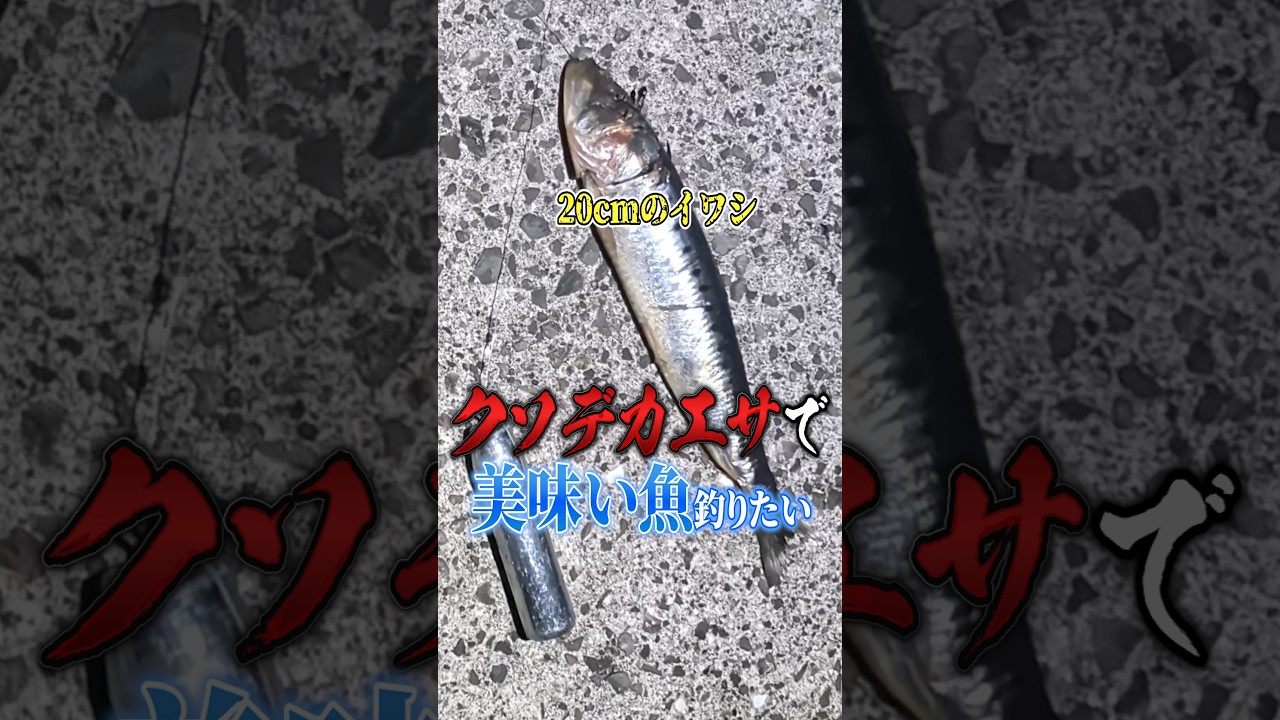 クソデカエサで美味しい魚釣りたい #ヘビさんのアウトドア日誌