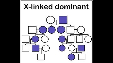 Pedigree Analysis of X linked dominant inheritance