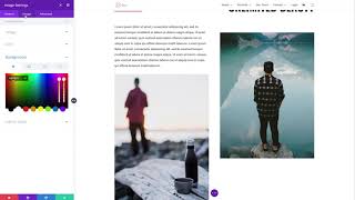 The Divi Image Module