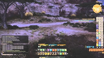 FFXIV: ARR - More Botting? - HC Solo