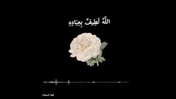 اللَّهُ لَطِيفٌ بِعِبَادِهِ  🤍🕊️آيات قصيرة بصوت جميل يريح القلب